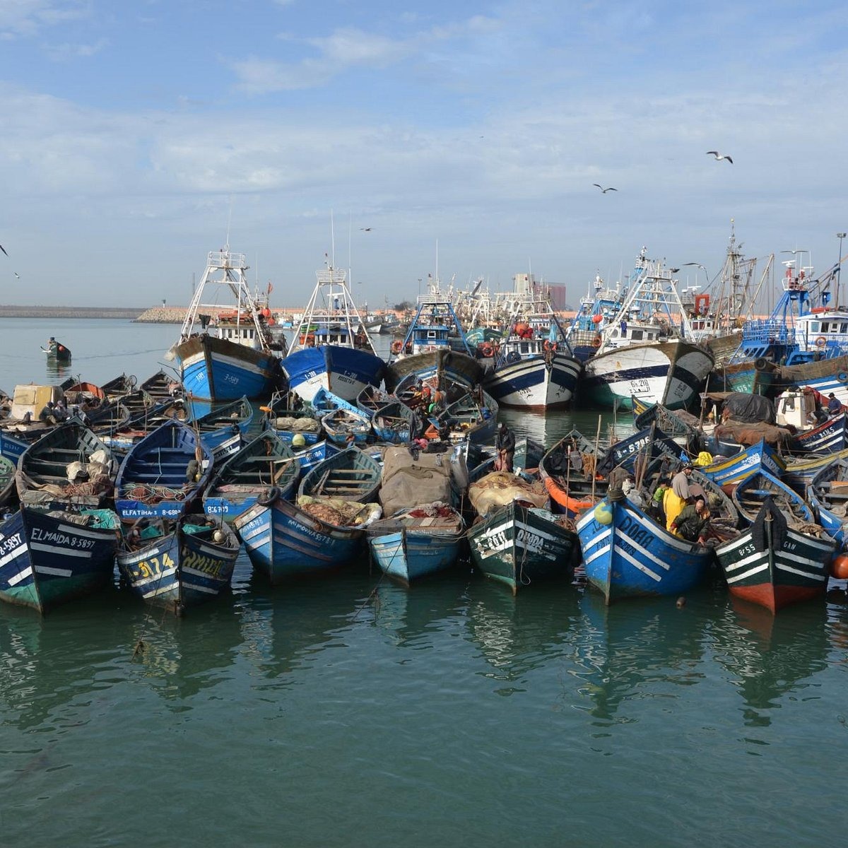 Port de Pêche Agadir